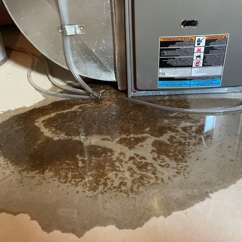 Pipe Burst and Leak Restoration in Salyersville, KY