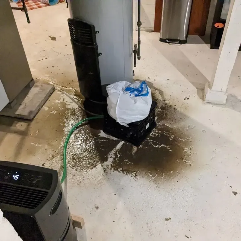 Sewage Backup Cleanup Service in Salyersville, KY